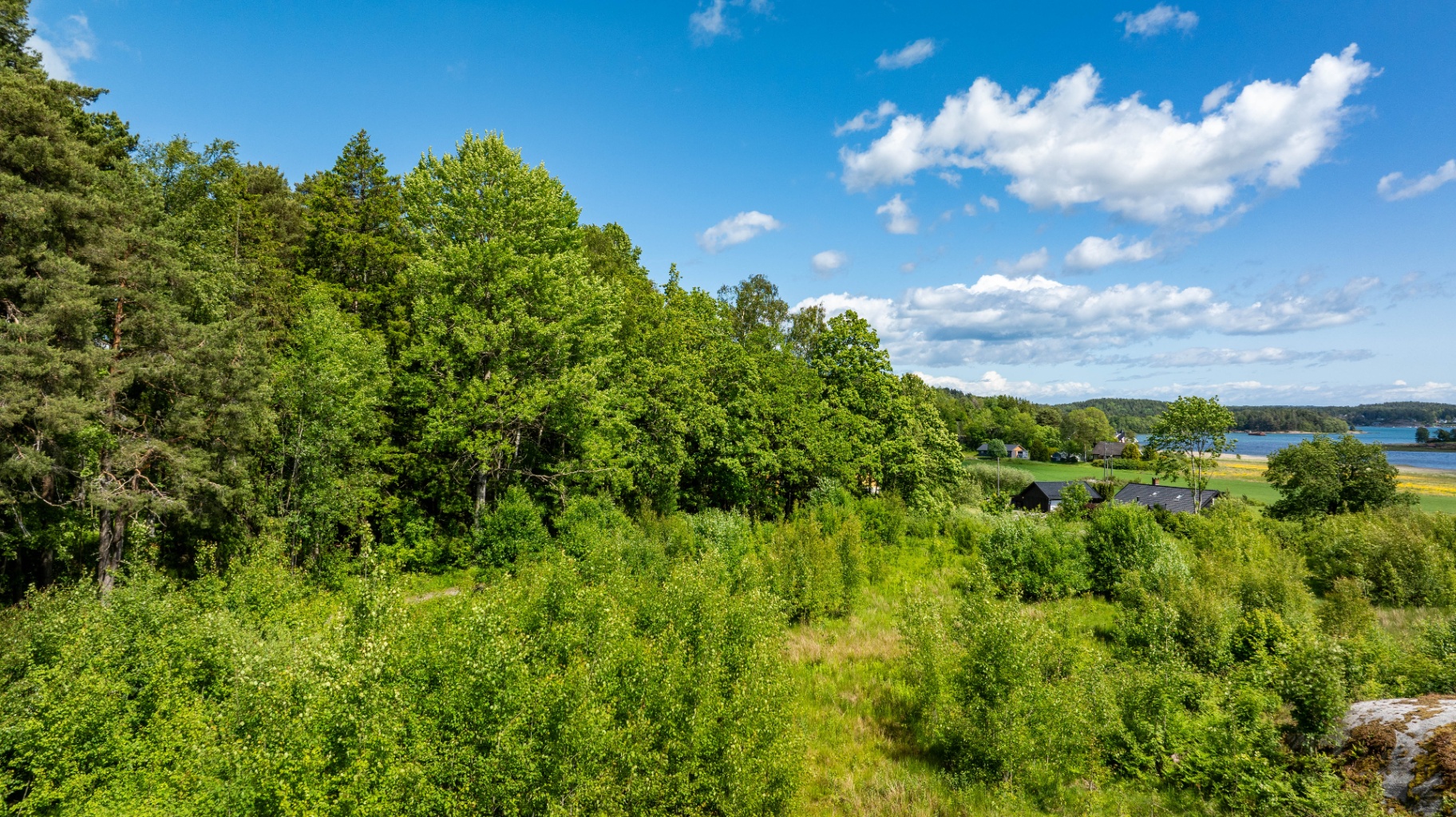 Tomten på Neskroken omkranset av skog og natur